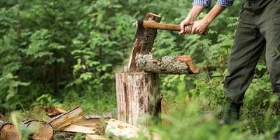woodchop_blog