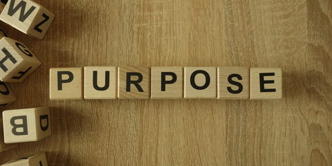 dreamstime_xs_148247317