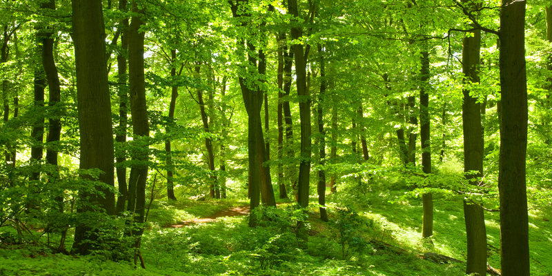 dreamstime_s_14610380