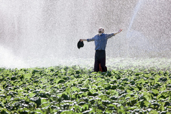 dreamstime_s_126817846