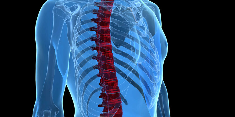 dreamstime_s_32355205